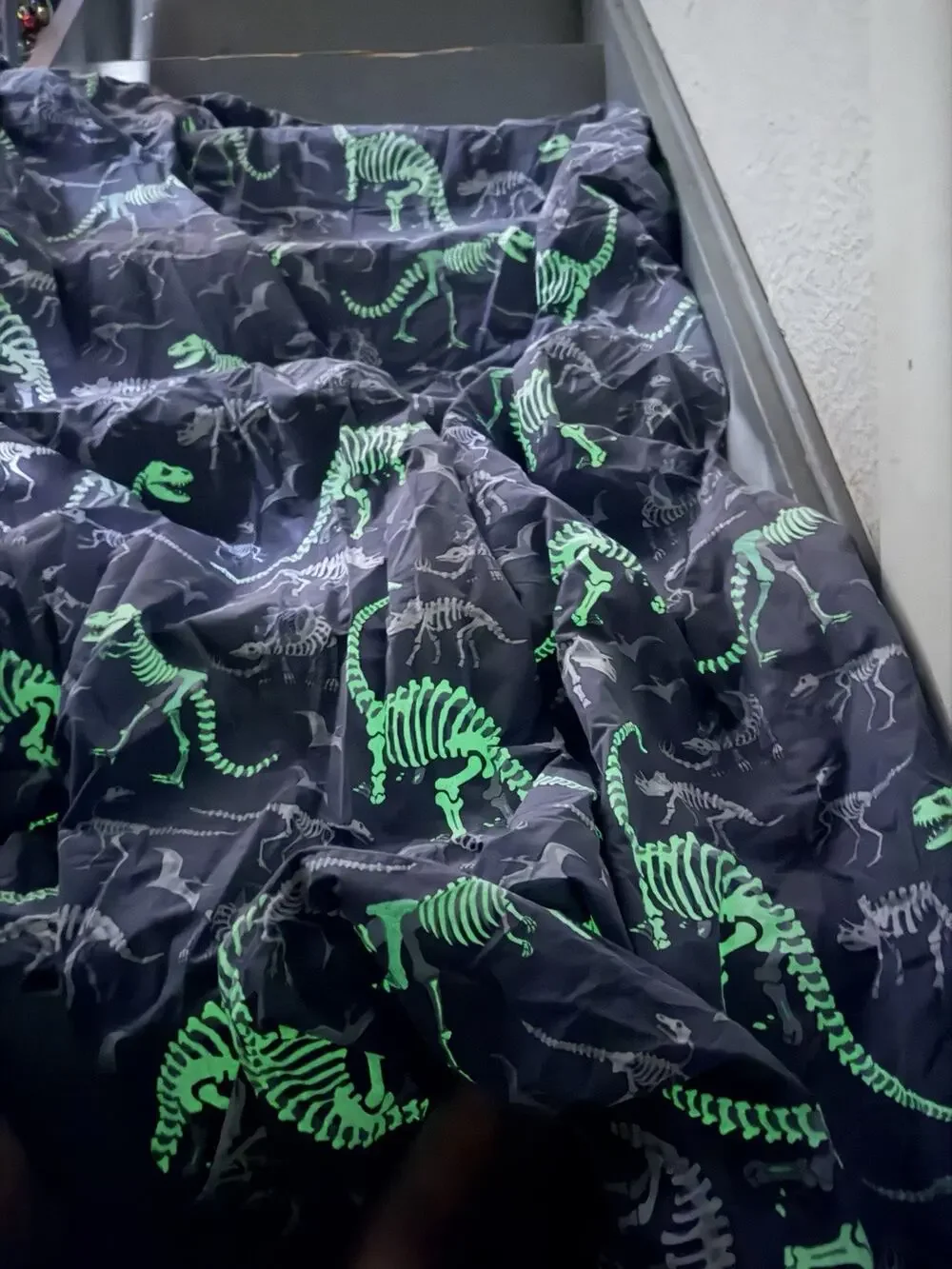 Pottery Barn Kids Dinosaur Bones Glow in the Dark TWIN DUVET & SHAM Organic